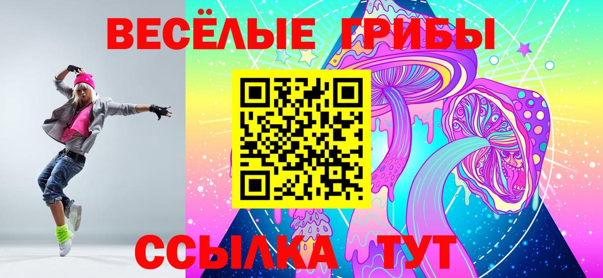 Псилоцибиновые грибы мухоморы Хасавюрт